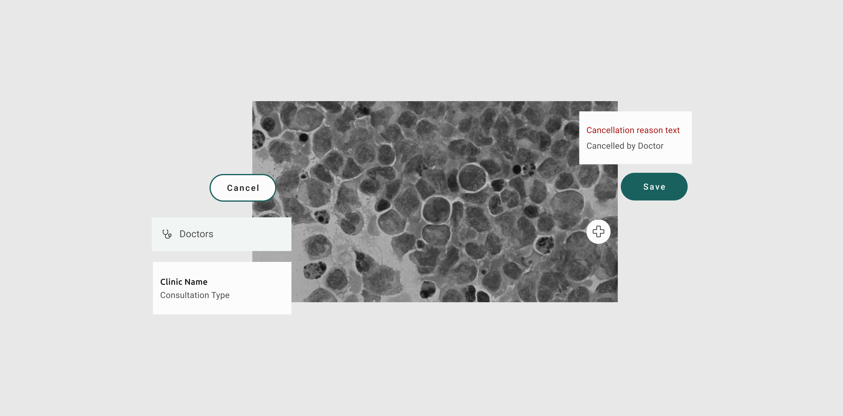 Component library overview